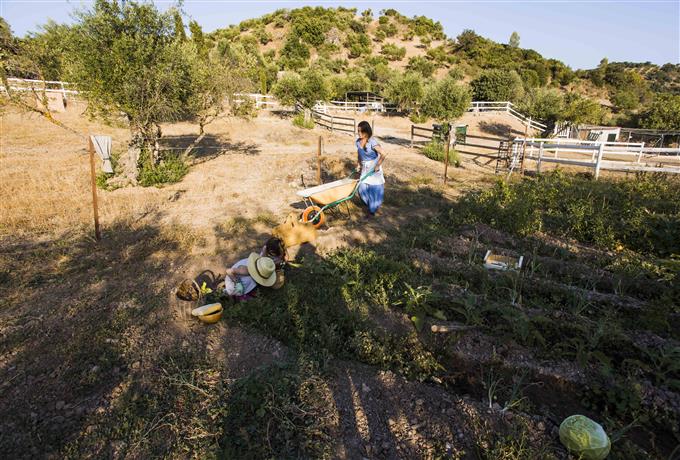 Técnico de campo: projeto de transição ecológica para atuação no Vale do Paraíba e Ribeirão Preto