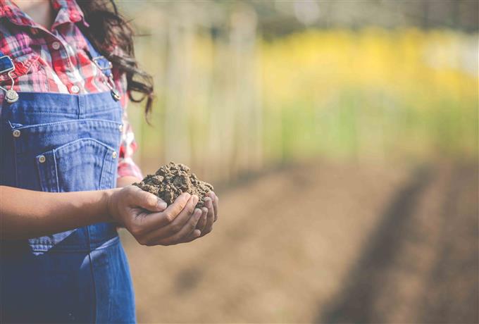 Técnico de campo: FAI divulga lista de candidatos habilitados para entrevista